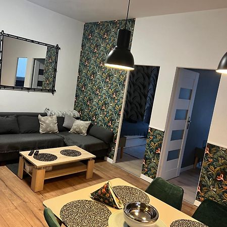 Apartamenty Cieplicka 20A 耶莱尼亚古拉 外观 照片